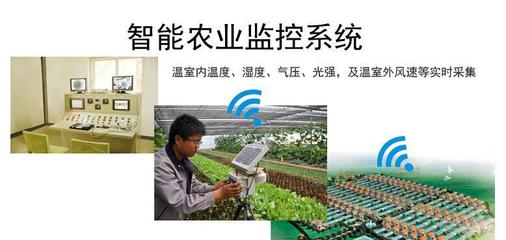 溫度、濕度、光照強度與農業(yè)生產 在線氣象監(jiān)測技術解析