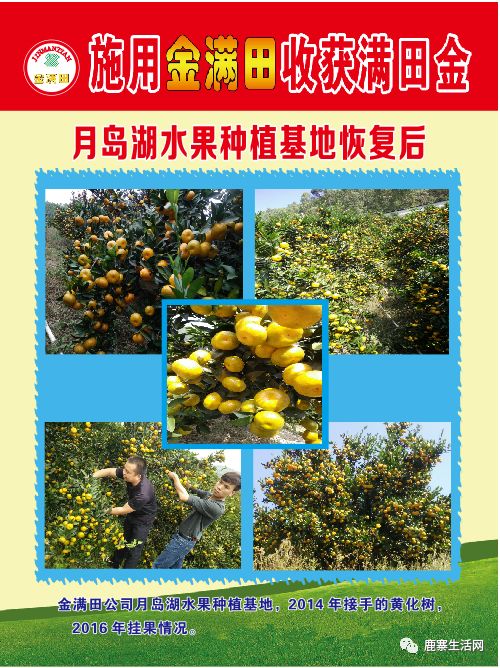 是什么讓這個(gè)基地碩果累累？鹿寨柑橘大咖現(xiàn)場(chǎng)授課，誠邀您來參加